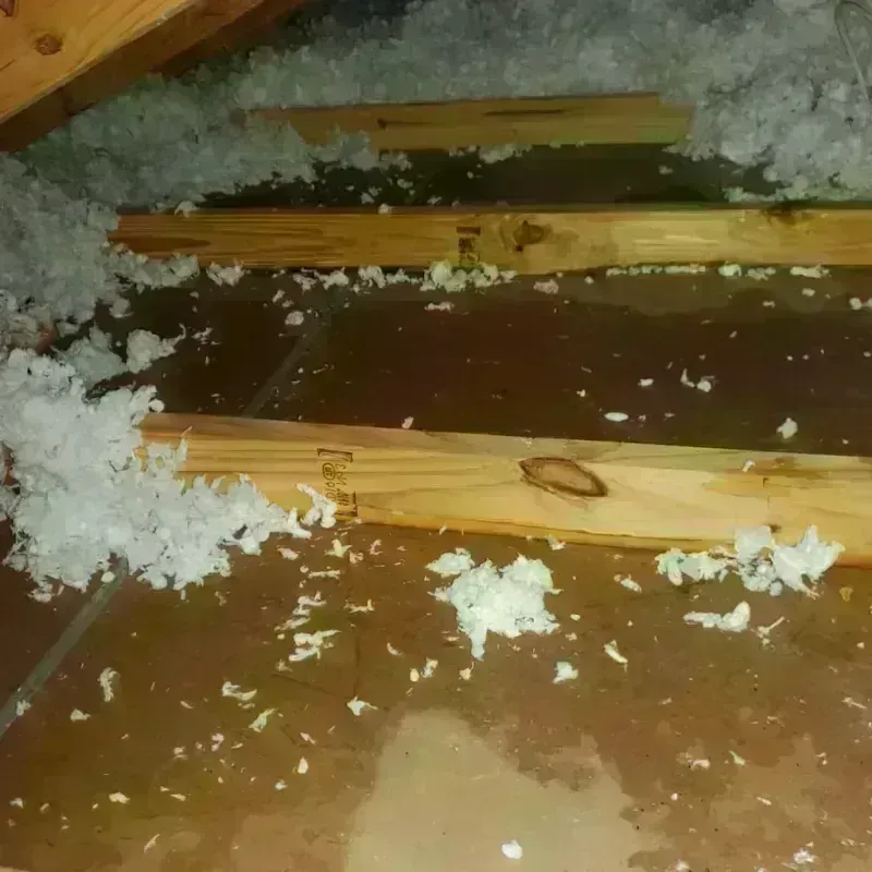 Attic Water Damage in Isanti, MN