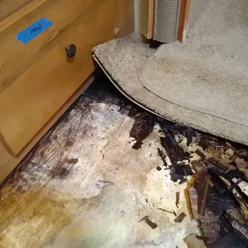 Wood Floor Water Damage in Isanti, MN